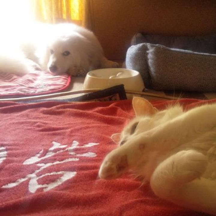 E7feb081 fc0a 45c7 859a 77ff54e55232 1682972950646