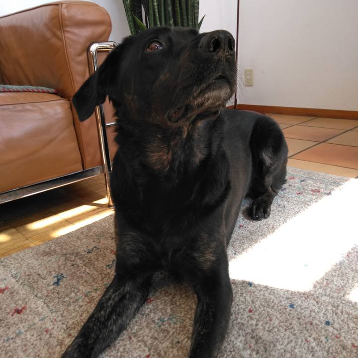 E7fec6e8 8c8d 4326 9640 c87478c5a6b5 1585877461466