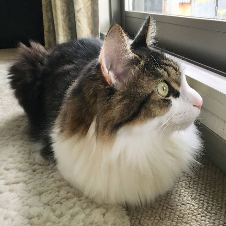 E7fefe77 c48a 4c3c b05b 0e9d0f573d2f 1536893848379