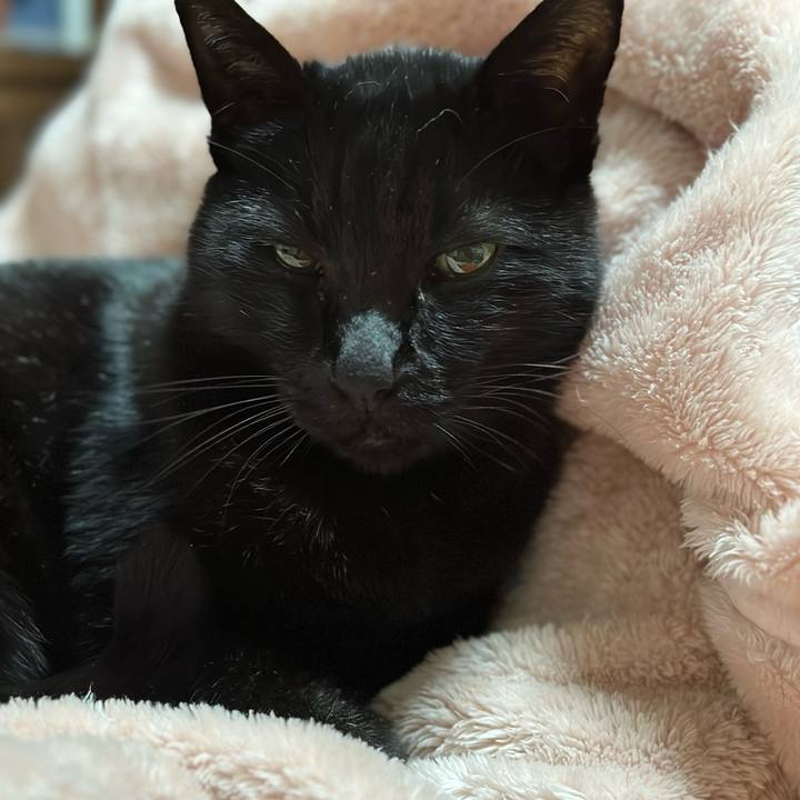 E7ff12ba b8f6 4542 94b2 dd93d0ffcae5 1669681452661