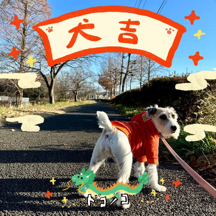 E7ff2e77 ef2c 49c1 8b39 9033b4ef4db0 1704196539150