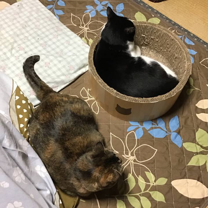 E7ff3a38 c5b0 4a35 8a85 0c5a3da5d39b 1732441633059