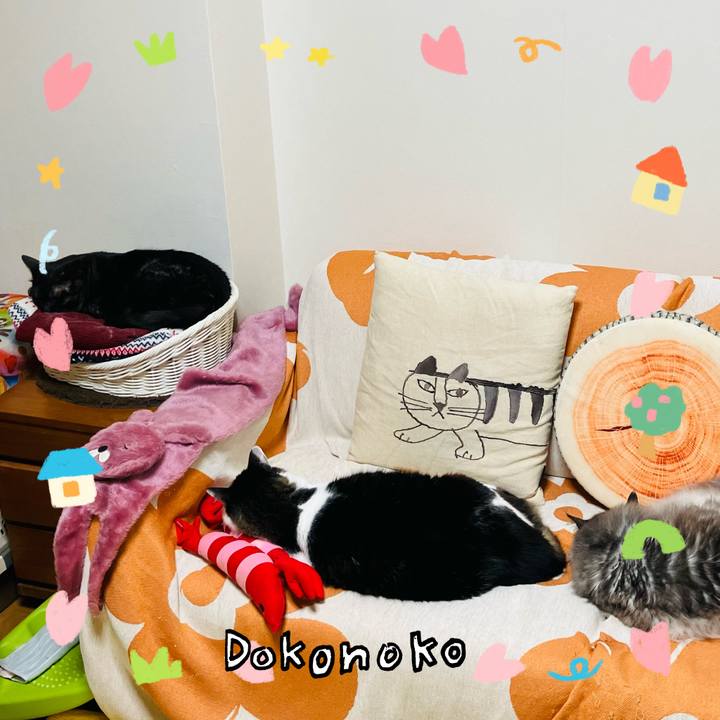 E7ff4ae0 8b3f 40a6 a045 2e24b60ac36f 1741061582747