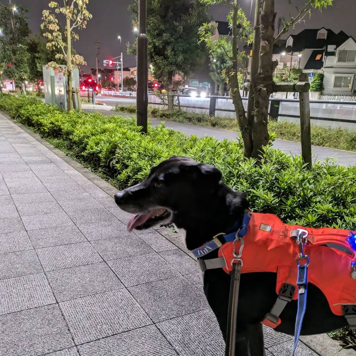 E7ff8690 b3f9 4c47 a25b 41ac3b56c905 1728730674778