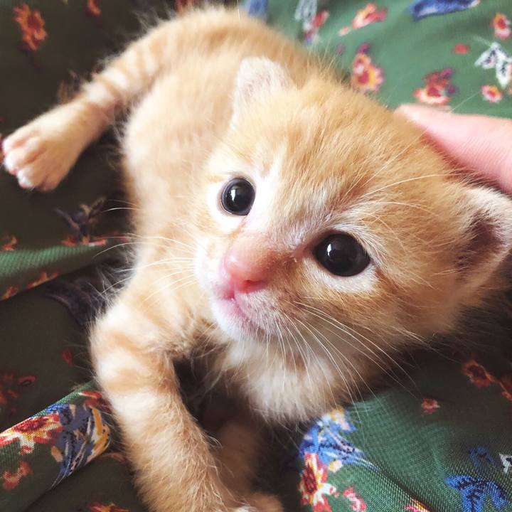 E7ffefe4 6832 44ca 802f ff46034b56d6 1559382957101