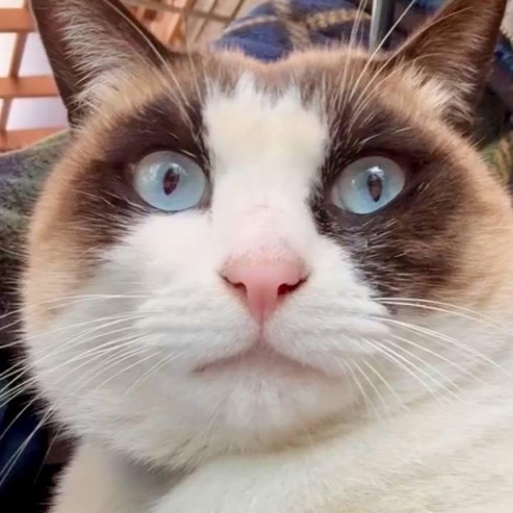 E8000113 8ba8 41f5 991e 170f5d3583d0 1772202432480