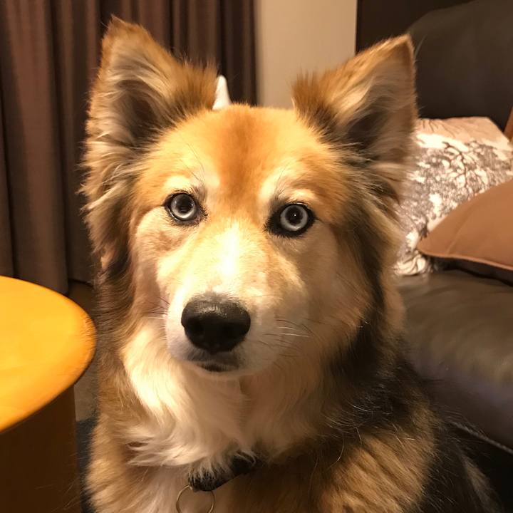 E8000cc5 2e8a 49e2 a050 b0f8e3e68462 1522672520576