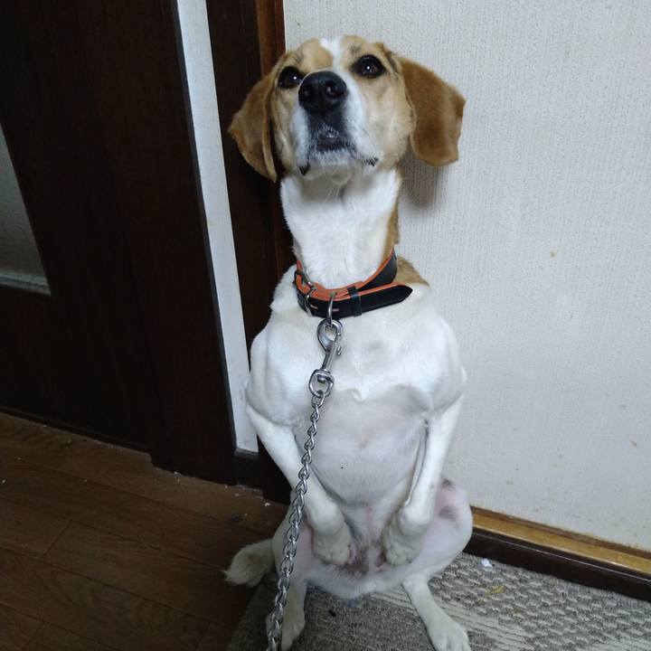 E80031c7 7169 4129 9da4 a3fcb1407969 1621432948610