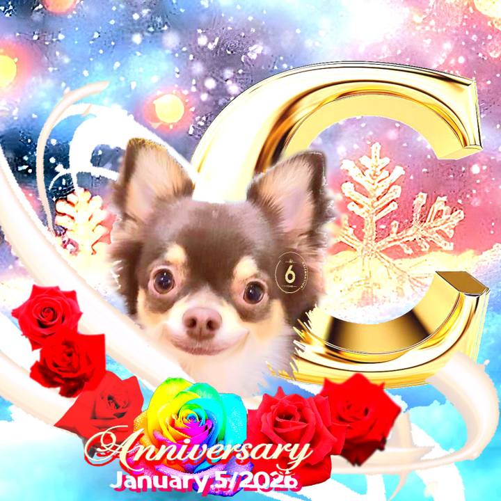 E8007394 e0b5 4ca1 a03d 132f0dc2faf6 1767925023380