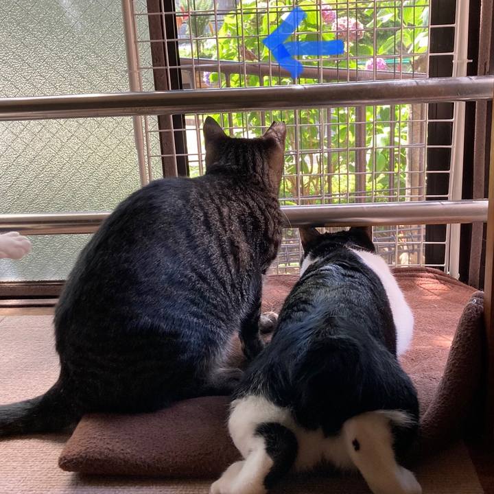 E80081ef 2399 4913 9bea 010a2fff823f 1625894049725