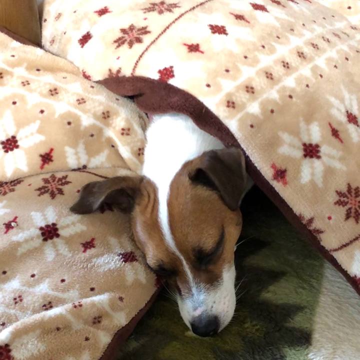 E800a8f7 dde7 4b84 a189 ecc4d52725f2 1570408615838