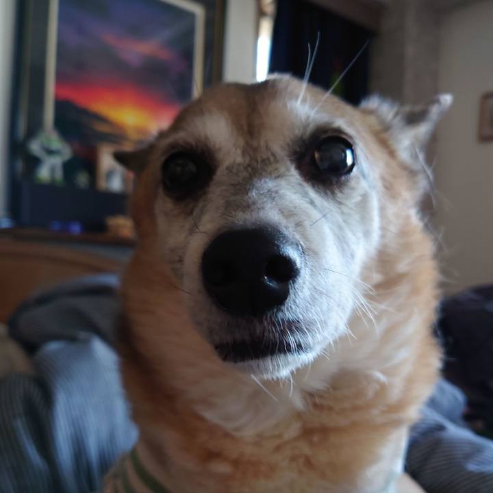 E800d3fe 8f9b 4464 9000 5e59994d78ab 1670482397984