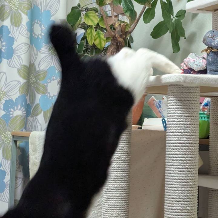 E800d616 2196 44a9 8d0e 04f6a5279497 1771544471318