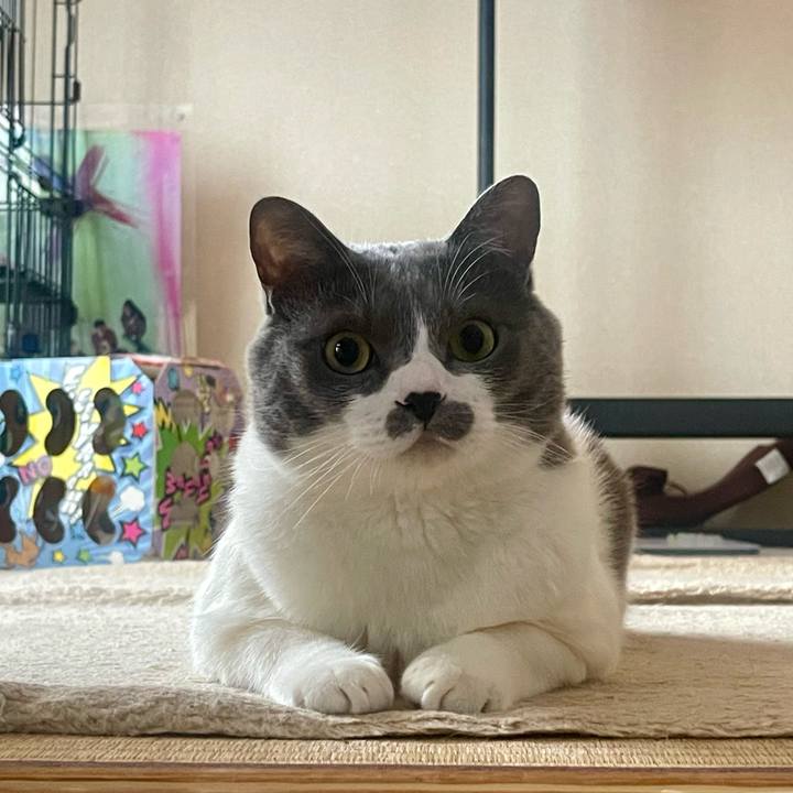 E800d6c0 8bdf 4774 b9ca 88298efe468b 1714431718261