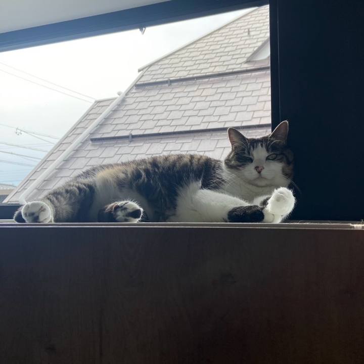 E800e9e7 7f20 4481 aae3 af9ae67cdb04 1744340449414