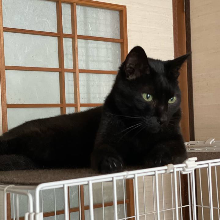 E8012a1a 1897 4a2b 9c5a 26716bf8138d 1661124003375