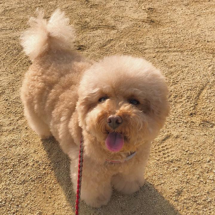 E8019af4 4d48 4ab2 aa37 cd99932bb7a5 1507681954545