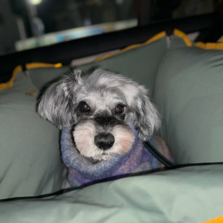 E801a655 b5cf 442b 8eab 2408a005b929 1766927623471