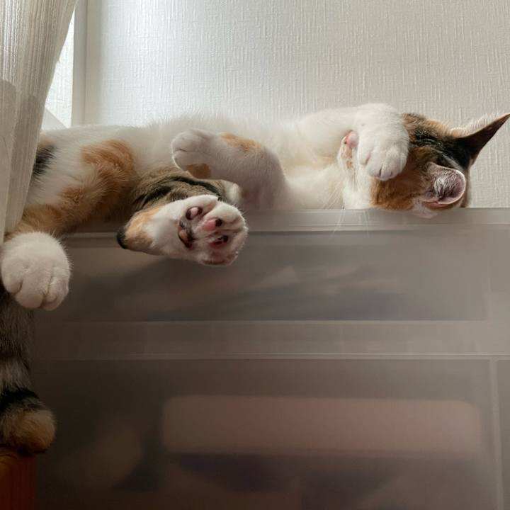 E801c8d2 b839 4eaf a689 a8e63c4d0dbc 1663630557668