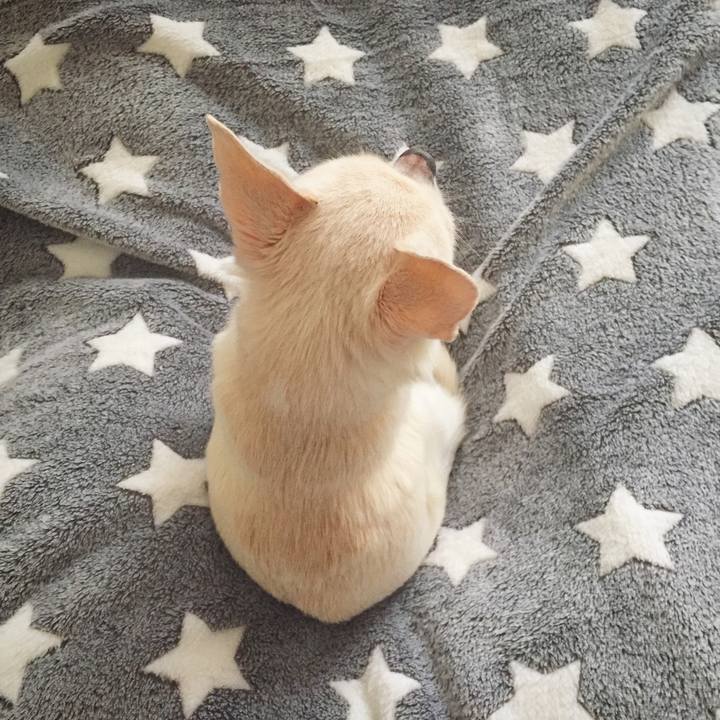 E801cc60 8e1f 43bf a87f 7f2ec2a6e4a4 1519555174459