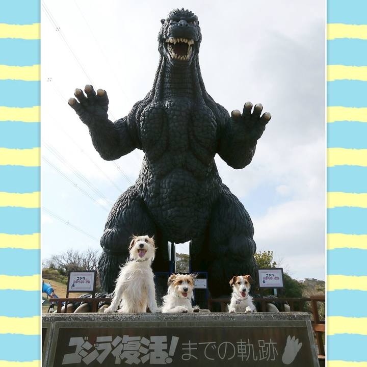 E801d79b 0508 4928 ab48 6ebb7d61dde6 1772103825182