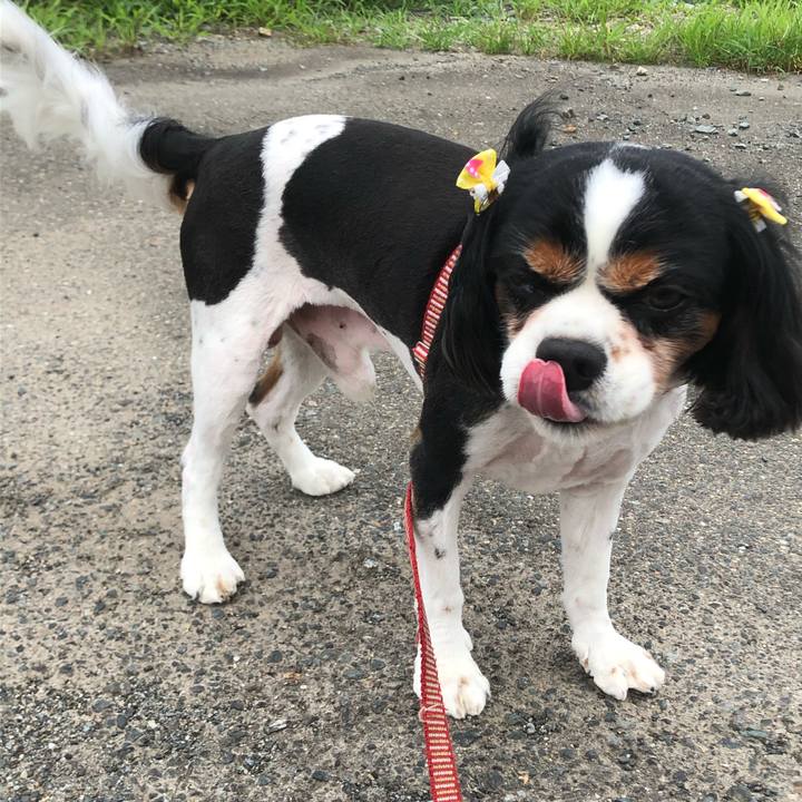 E801ee95 3d50 46ca 9553 d9f3c8b3ee1a 1596859539999