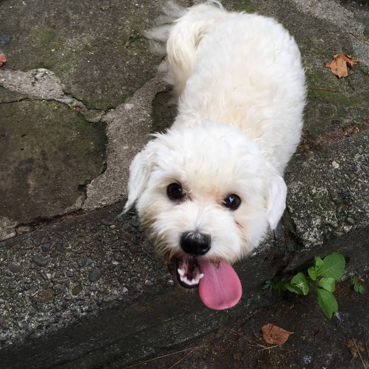 E801f721 02f8 4d2e 92c3 bf19109097c4 1531463161140