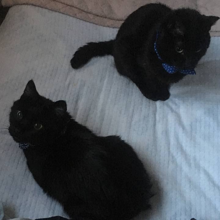 E8020d7b a32b 45a2 acd4 46780d27821e 1551392499558