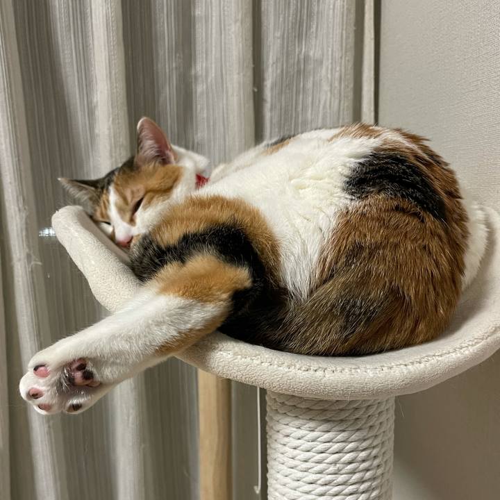 E8021c07 6c61 4375 ae81 b25153ddd4f8 1615042814258