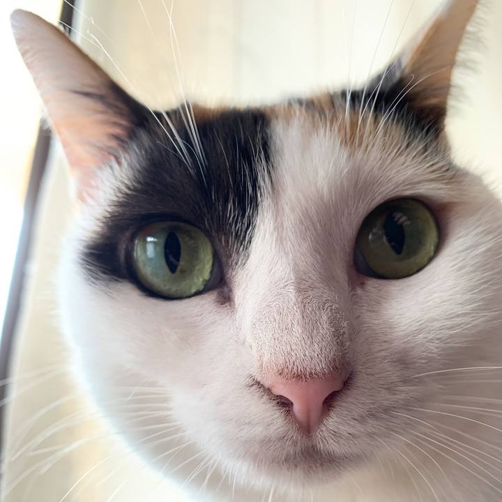 E8028340 39c0 4a27 8582 d2e966988ae1 1572311760160