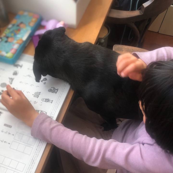 E802aecc 2bda 43e7 a39c 0f38ee0d4532 1613178531932