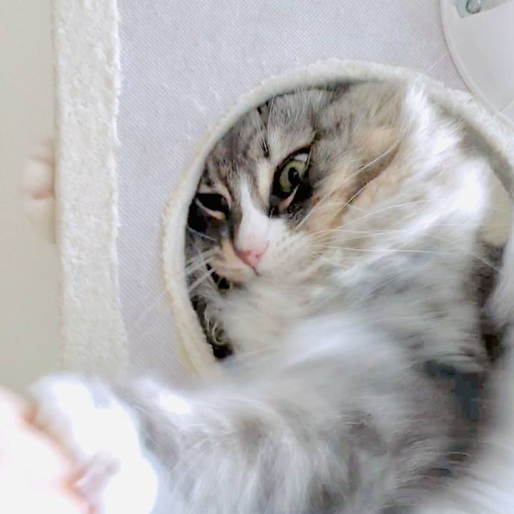 E802ba03 132e 48d4 827a b600224dc58d 1557371509311