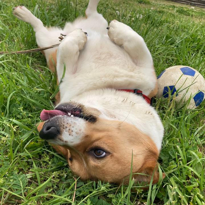 E802cf25 ec47 4ac1 a652 4ffc26ba9f0f 1682032457601