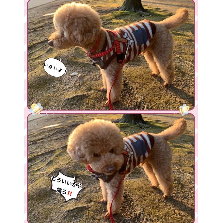 E80356bc 580b 4a4f b588 da687635f1dd 1552992581000