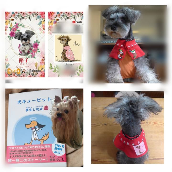 E80392d3 8936 4d01 b0f2 6f1e993165ee 1701227974395