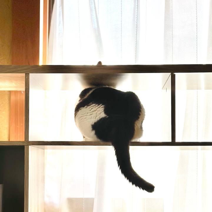 E8039da3 d518 4fa9 8bc4 081ec8805621 1698024936478