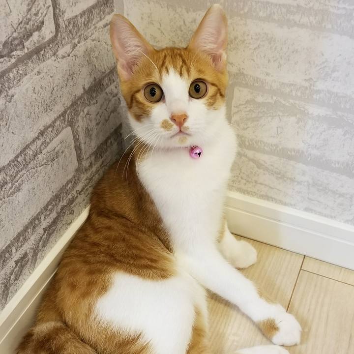 E803cbf1 caef 4964 be88 b739f43bbcf9 1509328145321