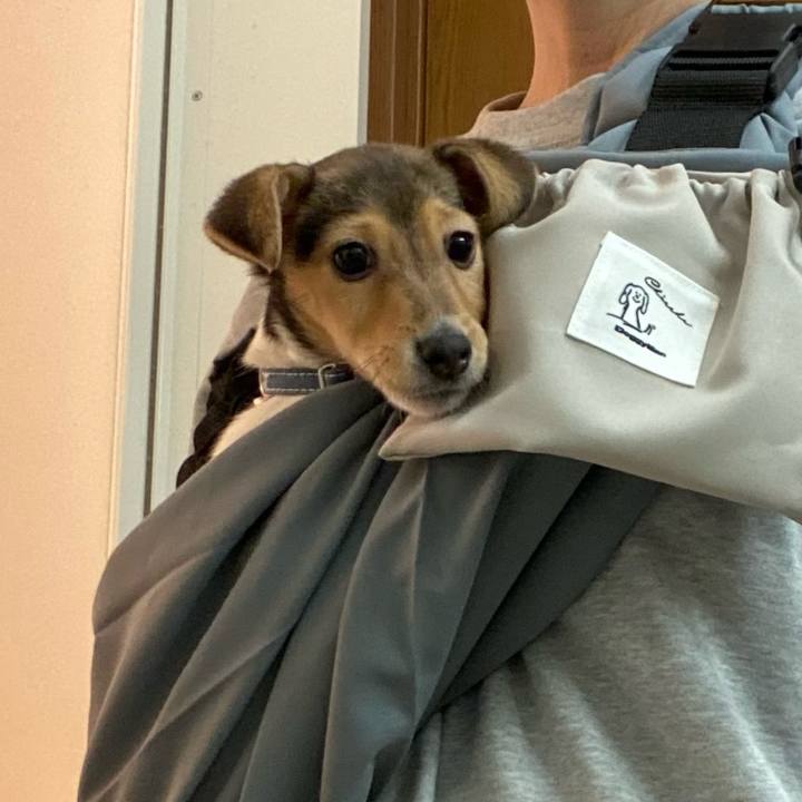 E803fa07 ee94 446f ac93 f5925f0c8e59 1743254792894