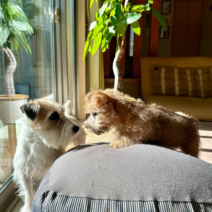 E80421f0 b049 41e3 a30a f2a8a1b8d07e 1701231795130