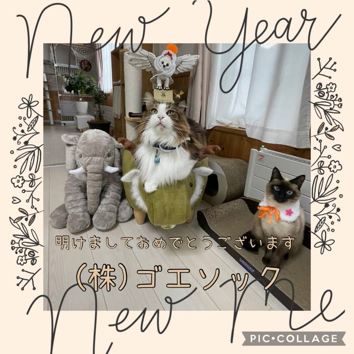 E8042e68 584b 4c90 8207 706e5bf7152a 1735685547676