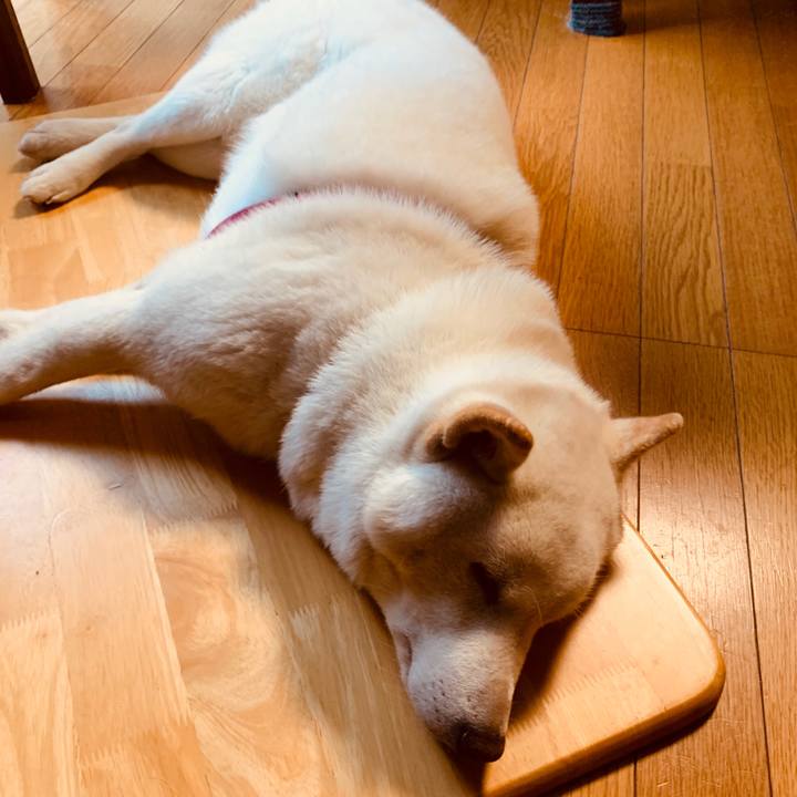 E8045ab3 38a6 4441 9c53 88202bd9fdff 1574379683297