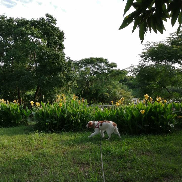 E8046168 847c 4f35 b0fb ed388e7aeab9 1596358499502