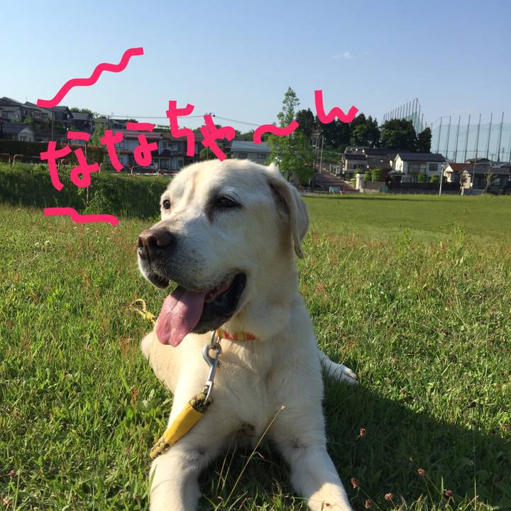 E8047263 9cc9 489f b6df 50ea219d79fa 1526975346158