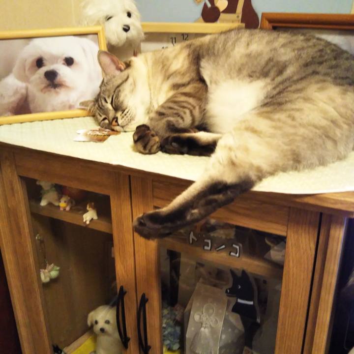 E804772d d867 463c b51c 2e99f13eaf25 1619277952480