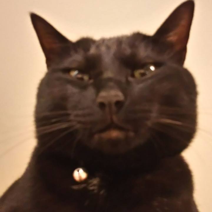 E80495db 3a58 44bc 867e dfdef7fcd7d5 1520120930554