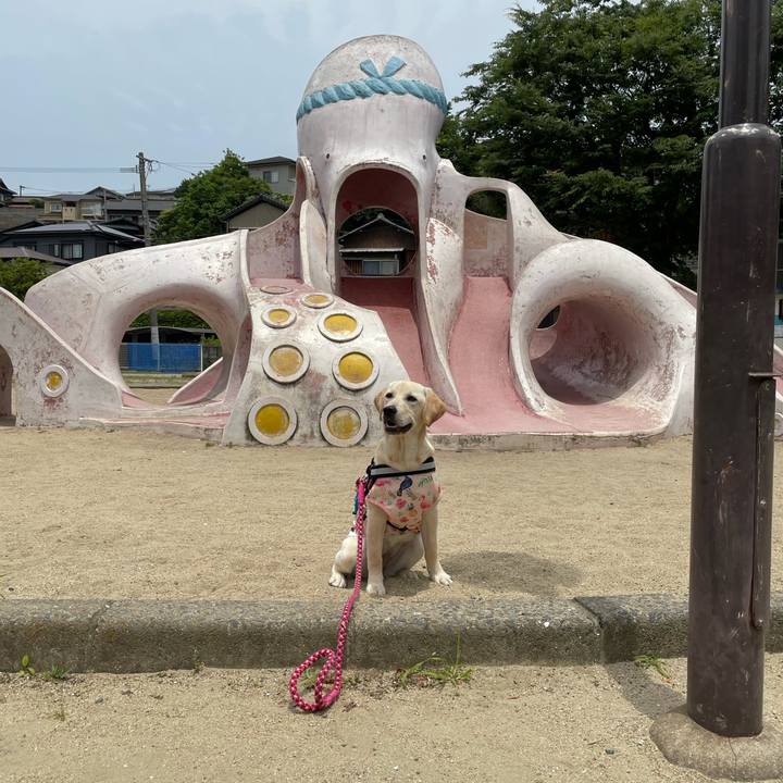 E804d45a 3663 4114 ad5c b442338bf2ed 1622809779723