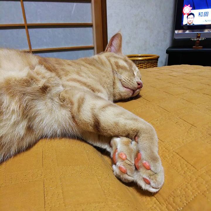 E804e795 82fa 4909 928c a01f83c9a286 1563712965162