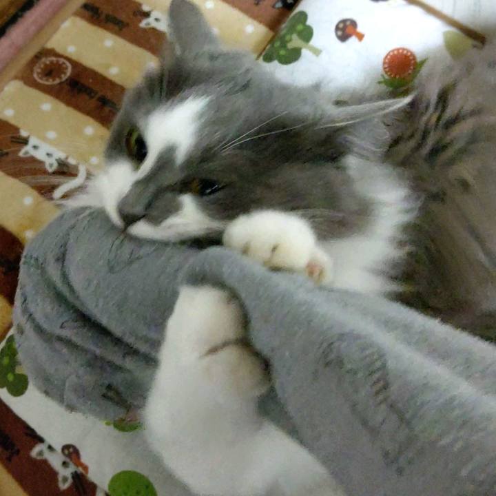 E804ea30 9ac9 4f38 905b e0dd9dae646c 1614599579197