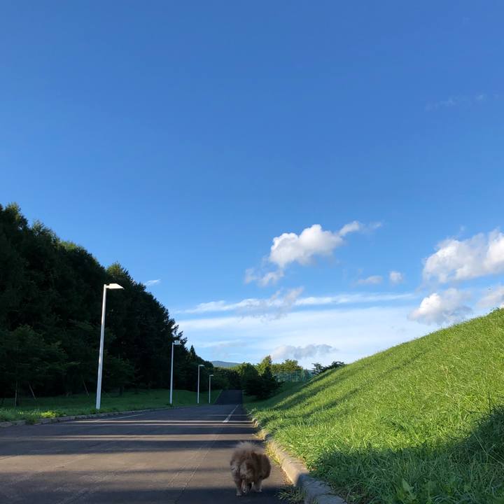 E804f564 2cb5 4c00 87ea c217a933d367 1534580410269