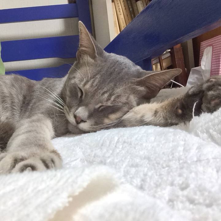 E804fdc5 623e 4674 b654 5bb01c26d8e0 1533137919357